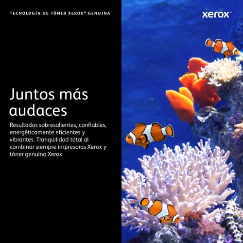 Xerox Toner Negro VersaLink C7020/C7025/C7030  alta capacidad (16.100 páginas)