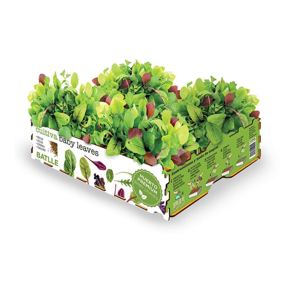 CAJA DE ENSALADAS BABY LEAVES