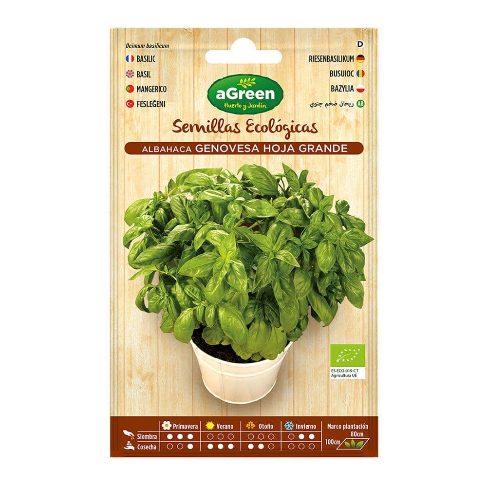 SOBRE CON SEMILLAS ECO DE ALBAHACA GENOVESA AGREEN