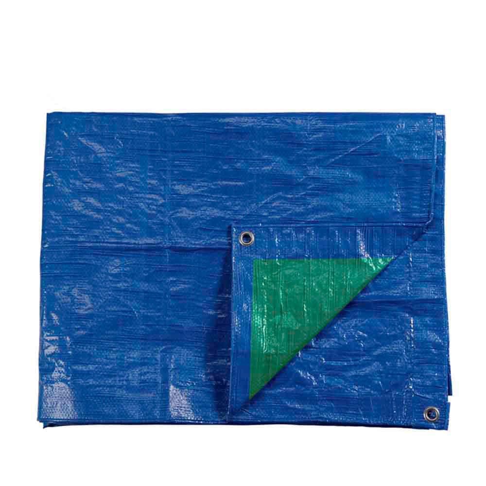 TOLDO POLIETILENO DE DOBLE CARA COLOR AZUL/VERDE, DENSIDAD 90 g / m², 8 x 12 m