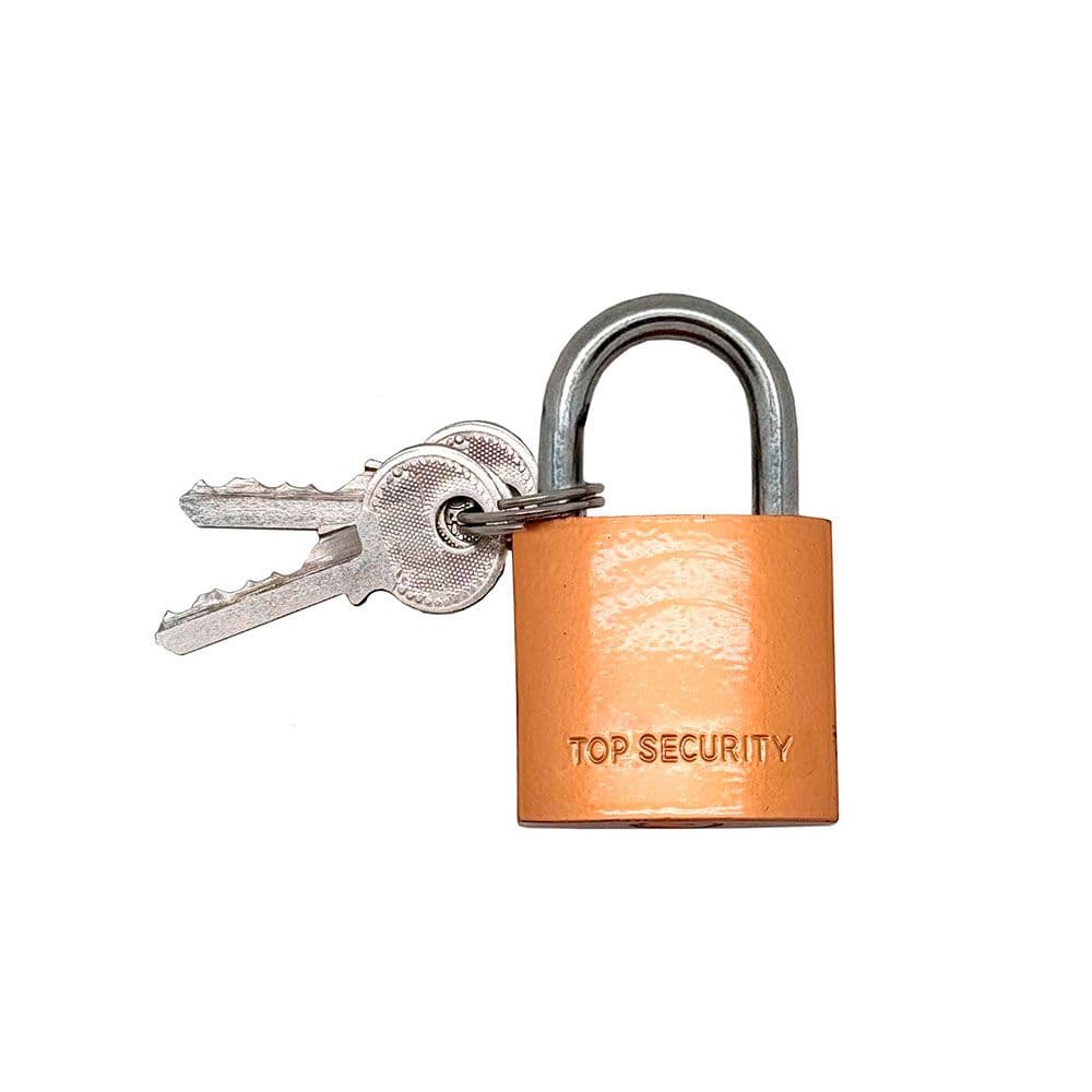 CANDADO DE ARCO NORMAL BASIC CN17, LATÓN, 20 mm