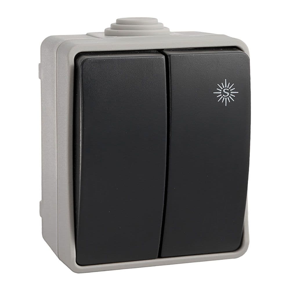 DOBLE CONMUTADOR ESTANCO 10 AX 250V~. IP54